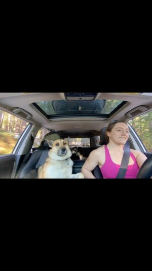 Aspen Ladd Instagram - Sundays =the only day of week I’m beholden to neither schedule nor alarm clock ⏰ It’s really nice. For a day …I’m too nuts otherwise and need my routine 😂

#offroad #trdpro4runner #wmma #adventuredogsofficial