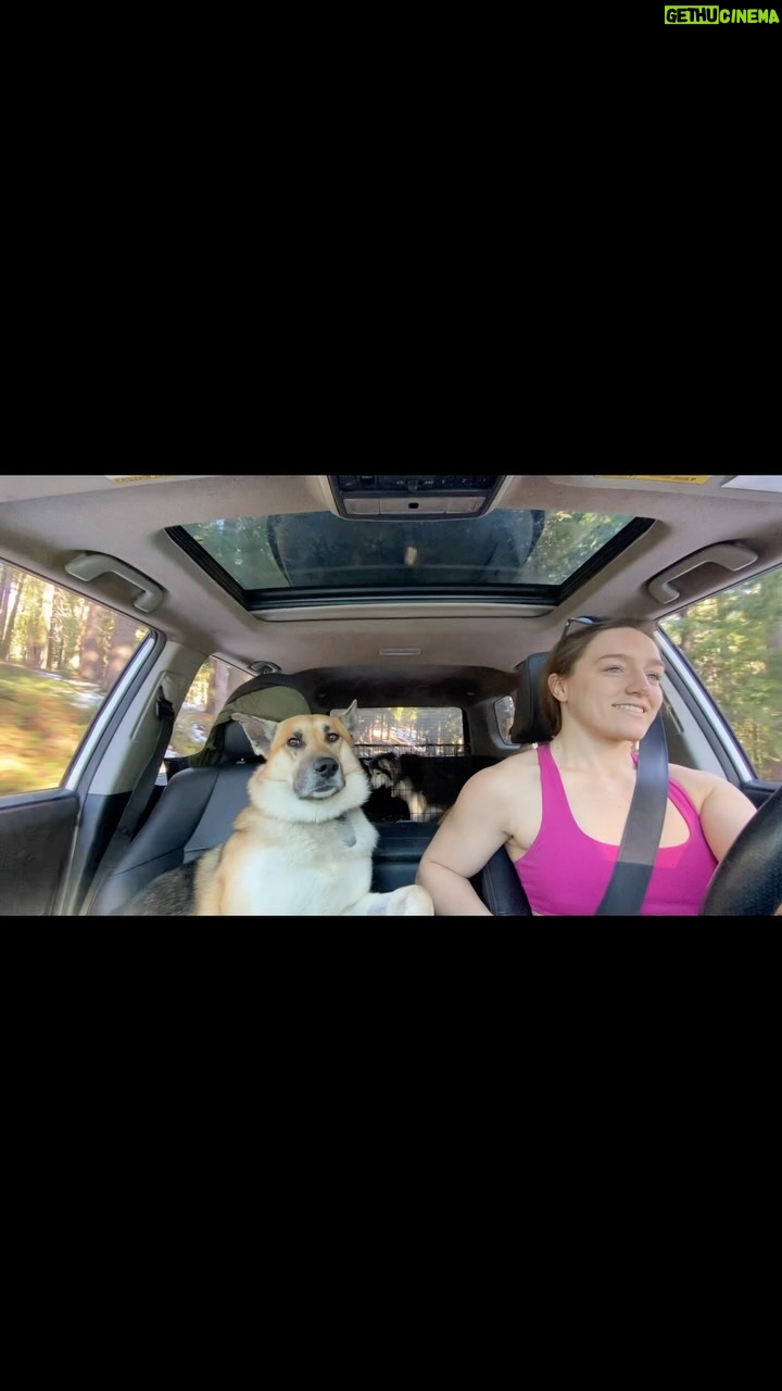 Aspen Ladd - 700 Likes - Sundays =the only day of week Iβm beholden to neither schedule nor alarm clock β° Itβs really nice. For a day β¦Iβm too nuts otherwise and need my routine π
#offroad #trdpro4runner #wmma #adventuredogsofficial
