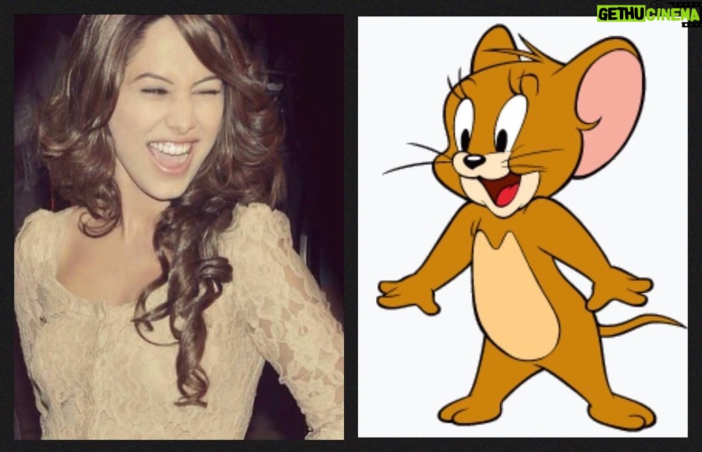 Ayyan - 1K Likes - I don’t wanna hurt Tom’s feelings but I was and I always will remain a Jerry loyalist ☺️
#ChildhoodMemories
💫👸🏻✨