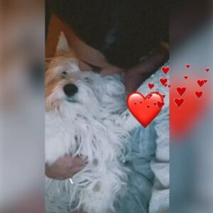 Ayyan Instagram - “Somethings just fill ur heart without tryin.”
MashaALLAH Alhamdullillah 🕋👆🏼💯 unconditional love, care, loyalty & happiness the list is endless of the amazin emotions I feel when I hug my one & only, my beloved son, my precious, youngest member of our Family Mr Grammy @grammyworld 
#IGotAPocketFullOfSunShine #OurYoungestFamilyMember #PreciousMoment
💫👸🏻✨