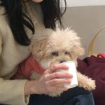Baek Jin-hee