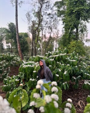 Bhavya Gowda Instagram - This place has my whole heart 🥺❤️

bhavyagowda670 #geetha #bhavya #bhavyagowda670 #geetha #kannada #kannadathi #coffee #coffeeblossom #nature #naturevibes #natureescape