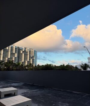 Bi Nguyen Instagram - Miami medicine.