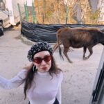 Birsu Demir