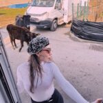 Birsu Demir