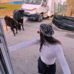 Birsu Demir
