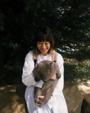 Bonnie Wong Instagram - 抱起了幾千攝氏陽光🥹🌅

#wombat #tasmaniandevil