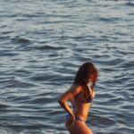 Brookliyn Wren