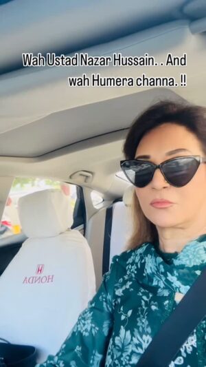Bushra Ansari Instagram - Kya mazaaya. !!