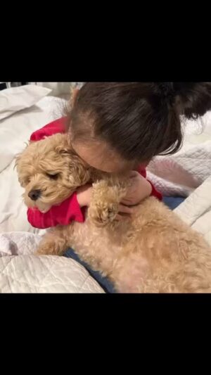 Caroline Manzo Instagram - Our Sweet Marchesa is 8 today! May God bless you always, our sweet Markie girl. DD and Pop pop love you endlessly. PS… Forgive the errors. This old Grandma is too tired to try and fix it! Lol