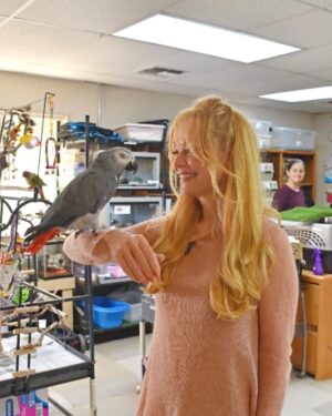 Charlotte Ross Instagram - At Helen Woodward Animal Center, every adoption, donation, and act of kindness helps save lives. While the Center has always been dedicated to finding forever homes for orphan pets, providing life-saving medical care, and educating the community, there’s one element that can take these efforts even further, celebrity endorsements.

One of our very passionate advocates is Charlotte Ross, an esteemed actress, and singer with a career spanning over three decades, garnering two Emmy Awards and a Gold record while starring in over 14 primetime series, numerous TV movies, and feature films working alongside actors like Rene Zellweger, Nicolas Cage, Ray Liotta, etc. Ross is also a celebrity spokesperson for Barry’s Bootcamp, has a show in development chronicling her global hiking adventures, and a Marvel project releasing soon. But, she’s most proud of being a lifelong passionate animal activist, having lobbied on Capitol Hill to release chimpanzees from archaic testing labs, doing the famed, “I’d rather be naked than wear fur” campaign, to receiving the Animal Advocate of the year award from HSUS. Charlotte is dedicated to pushing lawmakers to better protect our innocent voiceless animals and has a relentless goal to make our county and city shelters no-kill.

Charlotte is a huge fan of HWAC and its mission and is honored to help spread awareness and promote pet adoption with us. Her heartfelt social media posts and in-person visits have introduced thousands of new supporters to the cause. When she shares her experiences, whether cuddling a rescue puppy or speaking about the importance of adoption, her followers listen, and many take action.

Her influence proves that a celebrity’s voice can do more than just spread awareness, it can directly change lives.

At the heart of it all, Charlotte Ross’s endorsement exemplifies what Helen Woodward Animal Center stands for: the belief that every animal deserves love, care, and a second chance. With passionate advocates like her, the Center’s mission reaches farther, touches more hearts, and ultimately saves more lives. Because when compassion meets a platform, incredible things happen for pets in need. Thank you, Charlotte!💙