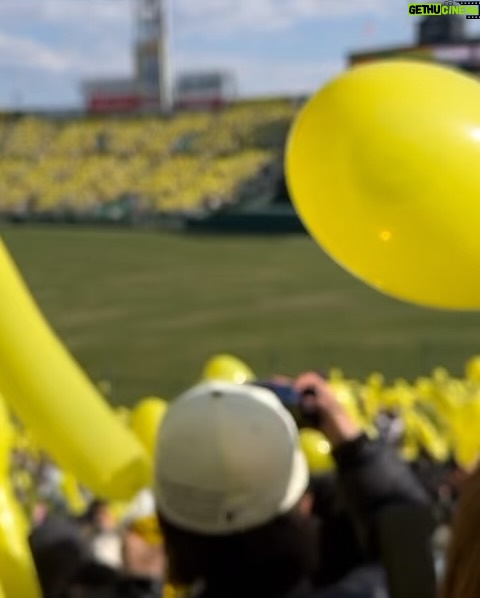 Chihiro Kawakami - 6.4K Likes - 今年初甲子園!
シーズンへ向けての調整も兼ねてるオープン戦
これからの阪神がとっても楽しみです🐯✨
今日はジェット風船を飛ばせたことが嬉しかった〜
懐かしさとついに帰ってきた光景に胸が躍りました!!
またジェット風船飛ばせる試合も観に行きたい🐯🎈
#阪神タイガース #甲子園
#阪神甲子園球場
#オープン戦なのか疑うくらいの満員の甲子園
#今日はシークレットグッズで当たった
#虎リング #付けてました #💍♡