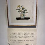 Chin-Lan Chang