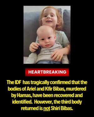 Christina Pascucci Instagram - #HEARTBREAKING The IDF has tragically confirmed that the bodies of Ariel and Kfir Bibas, murdered by H@mas, have been recovered and identified. However, the third body returned is not Shiri Bibas. Our hearts are shattering and we can’t stop thinking about Yarden and the Bibas family. We are sending you all the love and strength in the world. May the memory of these two beautiful boys spark a revolution and be a blessing forever.