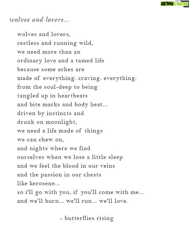 Courtney Hope - 6.2K Likes - āØ
Wolves and lovers,
Restless and running wild.
We need more than an ordinary love and a tamed life.
š