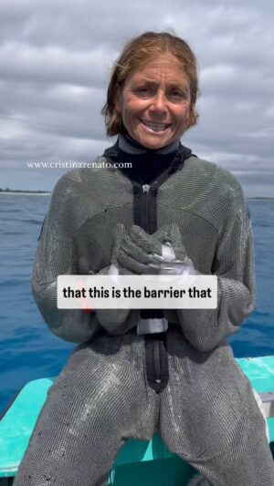 Cristina Zenato Instagram - The barrier that drops the barrier between sharks and us. 
The use of the chainsuit is at time scorned and ridiculed as if it’s a discrepancy between my advocacy for sharks and my actions on the field. 
To me it’s the contrary; wearing protection to safely welcome a shark (Caribbean Reef) in my lap is the way we advocate for safe interactions, for the benefit of all involved. When I don’t  interact and welcome a shark to rest on my legs and in my lap, I don’t wear a suit, same as I don’t wear a suit when working with tigers or great hammer head sharks. Similarly to a bird of prey we wear an arm cover to allow the bird to rest on our arm not because of the intentions of the bird but because of shape and nature of the claws. 
This might be the only place in the world where I encourage to welcome a shark in our lap, to interact in such close manner, while wearing the barrier that drops the barrier between sharks and us. 
Learn more about these incredible interactions and how to join me at www.cristinazenato.com 
Suit by @neptunic_com