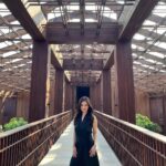 Cut Tari