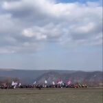 Danica Maksimovi?
