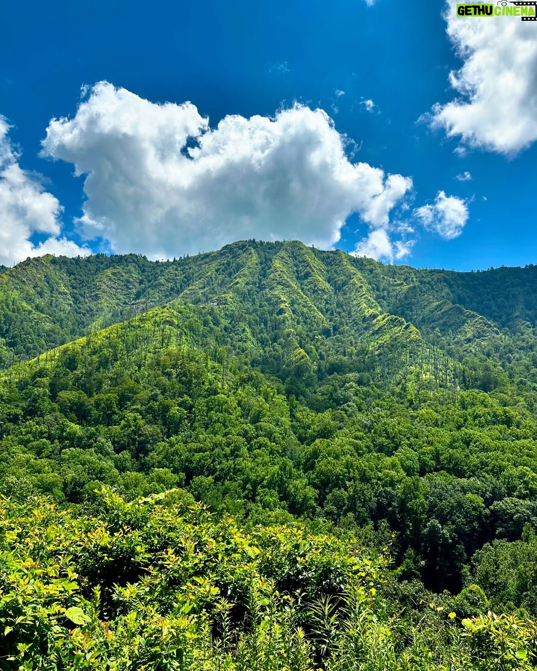 Dimple Harika - 3 Likes - Finding bliss in the wilderness 🌳⛰️🌈