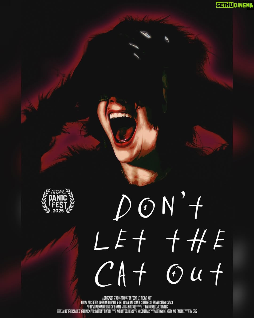 Edy Ganem - 447 Likes - Excited for the Premiere of “Don’t Let The Cat Out” at @panicfilmfest on March 28 at 930pm! Get your tickets and passes!
“A feline-obsessed couple find their next human vessel to transfer the soul of their beloved cat into.”
#filmmaking #horror #indiefilm #cats_of_instagram #fyp #movie #thriller #horrormovie