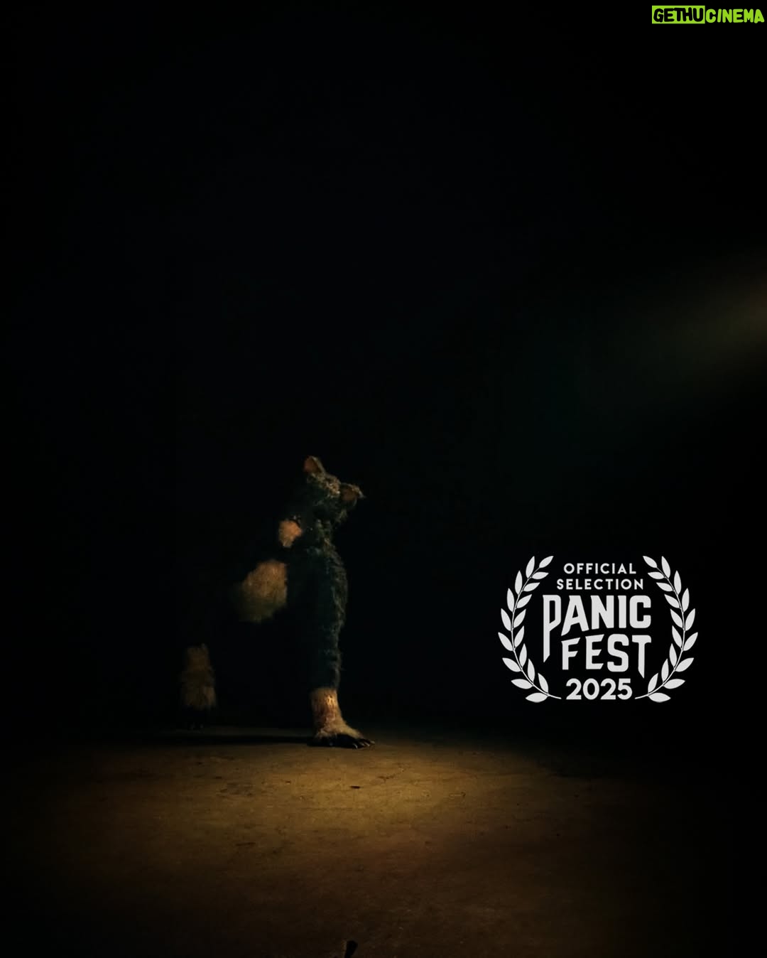 Edy Ganem - 447 Likes - Excited for the Premiere of “Don’t Let The Cat Out” at @panicfilmfest on March 28 at 930pm! Get your tickets and passes!
“A feline-obsessed couple find their next human vessel to transfer the soul of their beloved cat into.”
#filmmaking #horror #indiefilm #cats_of_instagram #fyp #movie #thriller #horrormovie