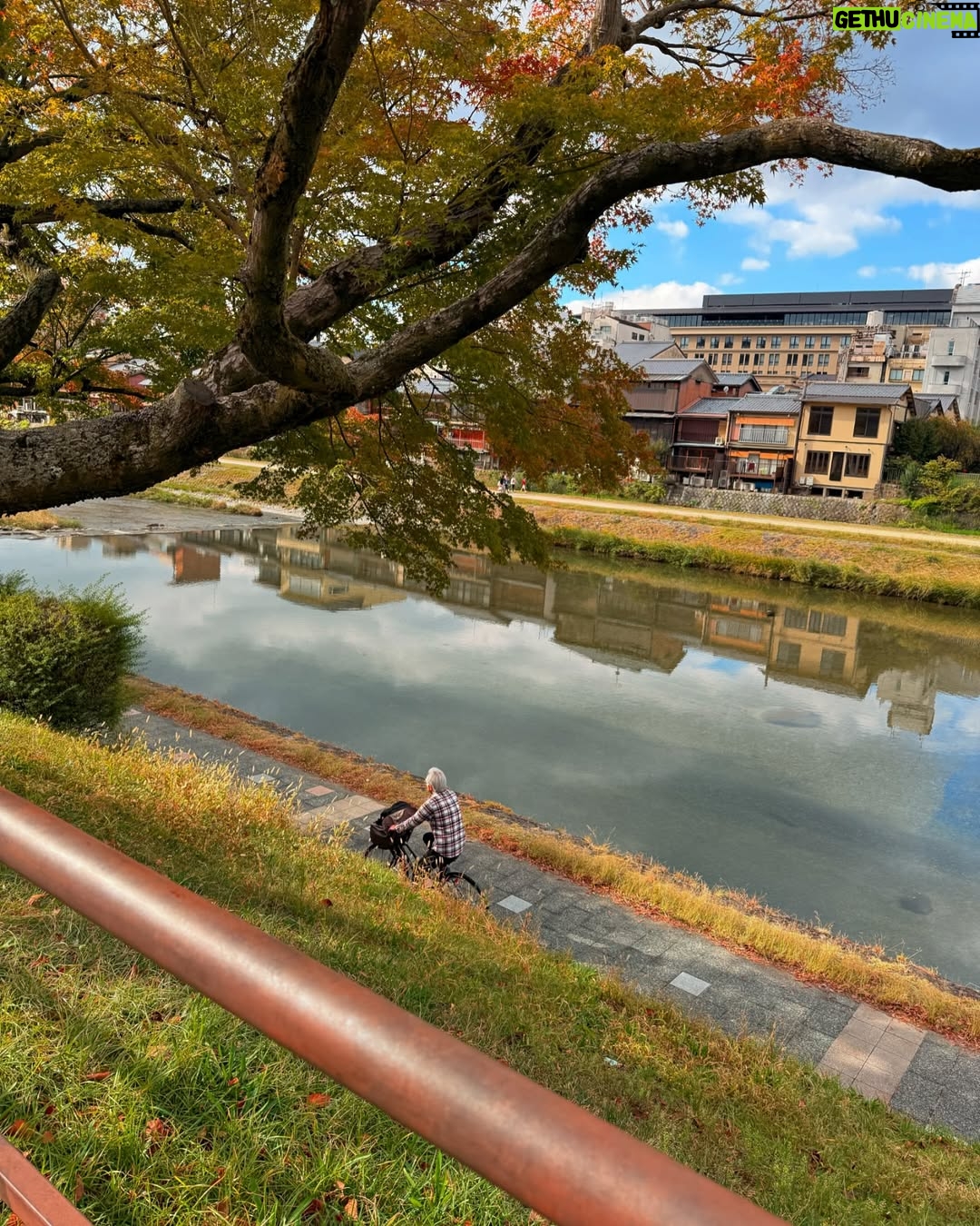Eman Suleman - 3.3K Likes - Kyoto is my favorite city among all the places I’ve traveled, and it took me only a few hours to realize why. It’s beautiful, serene, and impeccably clean. Almost unreal. While Tokyo was exhausting, Kyoto was nothing short of rejuvenating. Its people are incredibly kind, and gentle. I miss them. Wapis le jao pls. Meine yahan rehna hay.
