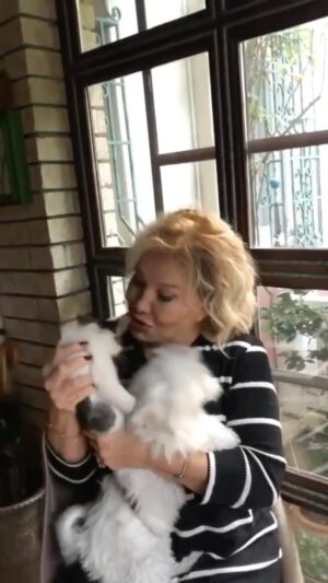 Emel Sayın Instagram - 🧿 Dünya Kediler Günü 😻🐈😸❤️🧿