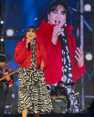Fiza Ali Instagram - Concert