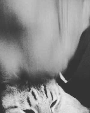 Gabriela Toscano Instagram - Amando a Kido