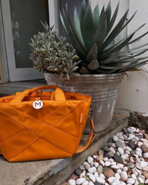 Georgie Gardner Instagram - Unashamedly thrilled to show off my new Urban Traveller @murphandmurph & super proud to support my beautiful friend Anna who’s built this business with her sister Catherine from scratch! If you choose one bag this season make it a @murphandmurph & how good is tangerine?! @davidcampbell73 on vocals obviously! #supportlocal