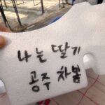 Han Chae-a