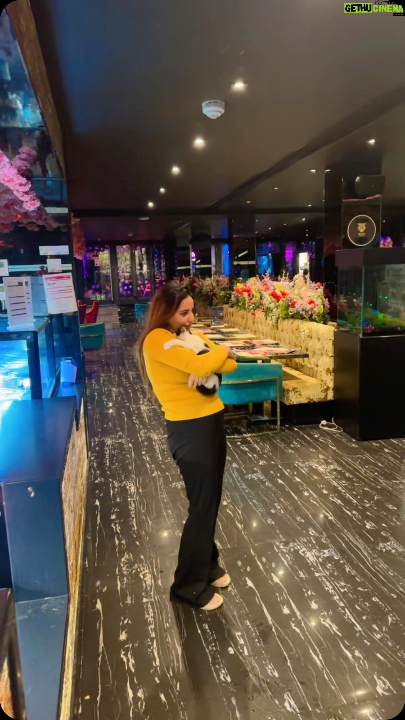 Hareem Shah - 0.9K Likes -