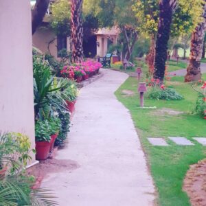 Iman Ali Instagram - Beautiful spring in my beautiful home 🧿