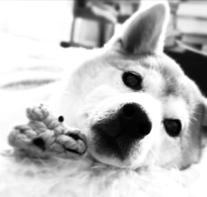 JUJU Instagram - 