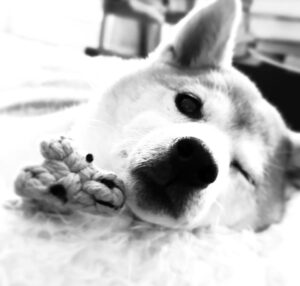 JUJU Instagram - 