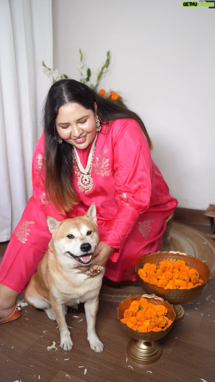 Jasmine Sidhu - 3 Likes - Shooting content with my sohna putt 🐕
.
.
.
.
.
.
.
#shiba #shibastagram #shibalove #shibainu #shibamania #dogmom #jazzfoodtravelshop