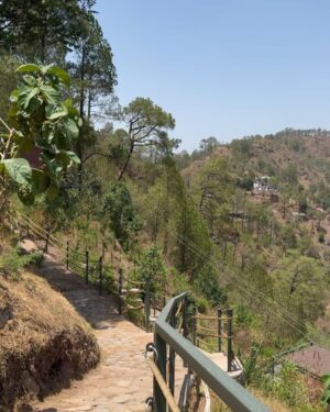 Jasmine Sidhu Instagram - Immersing in the tranquility of the forest’s embrace, nestled in the charming pods of @storiibyitchotels , Solan. Each moment a brushstroke of nature’s masterpiece, a symphony of serenity echoing through the trees. Let the whispers of the forest weave their magic around you.

(Solan, Itc Solan, ITC hotel, pods, forest hotel, hotel room)