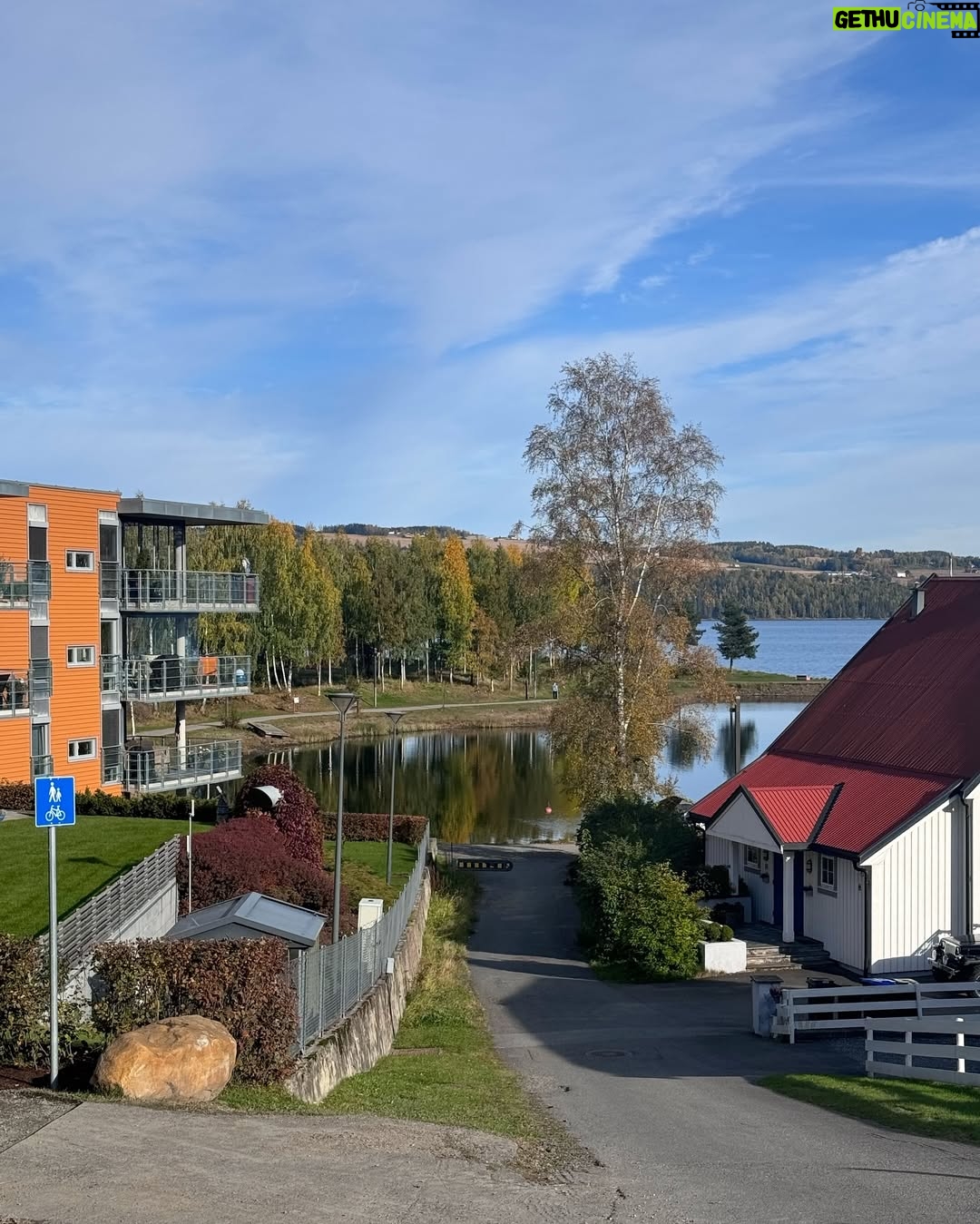 Jasmine Sidhu - 3 Likes - Norway in fall: pure magic! 🍁
(Norway, Life in Norway, Indian in Norway, Oslo autumn, autumn season, coffee season)