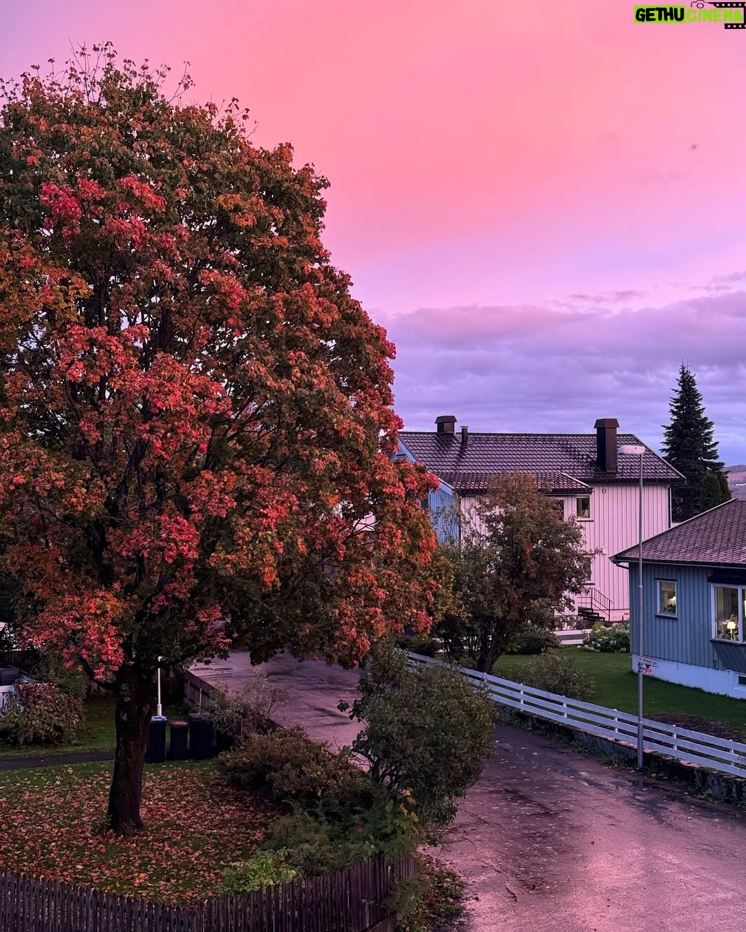 Jasmine Sidhu - 3 Likes - Norway in fall: pure magic! 🍁
(Norway, Life in Norway, Indian in Norway, Oslo autumn, autumn season, coffee season)