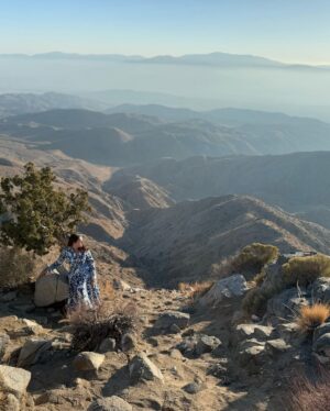 Jennifer Messina Instagram - “So why settle for less, when you can have all and more.” - Royalty by Jennifer C. Messina.

#royalty #freedom #joshuatree #edgeoftheworld #myway #messinamafia #freedomofspeech #livefree #nationalparks
