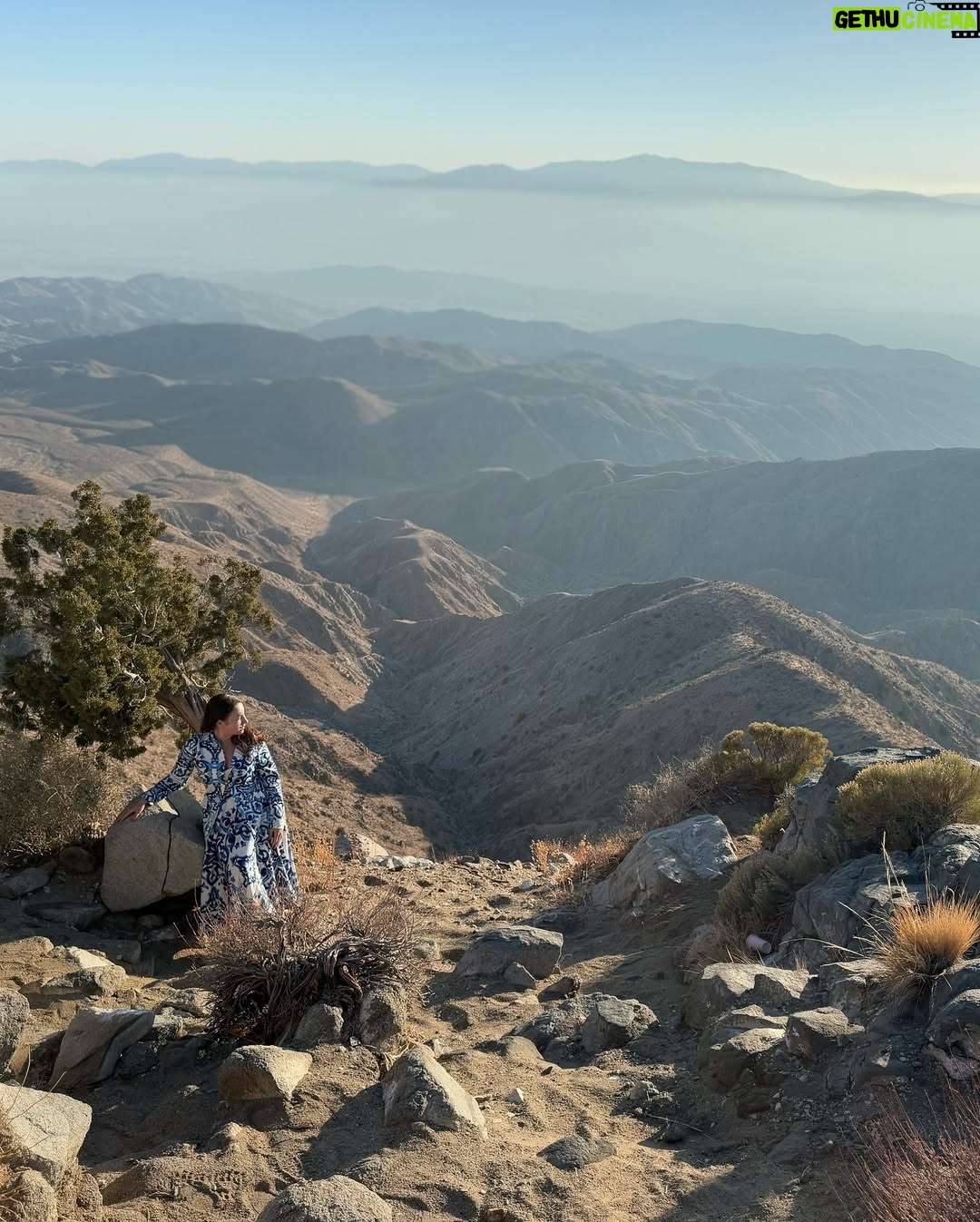 Jennifer Messina - 1.3K Likes - “So why settle for less, when you can have all and more.” - Royalty by Jennifer C. Messina.
#royalty #freedom #joshuatree #edgeoftheworld #myway #messinamafia #freedomofspeech #livefree #nationalparks