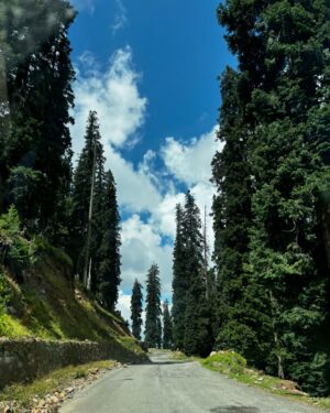 Jhanvi Bhatt Instagram - On the road to Kashmir!🏔️ We took the world’s most dangerous route from Manali to Kishtwar ✨🤌🏻. Crossed beautiful villages, diverse landscapes, tough terrains, and sparkling streams. This is my longest road trip yet—can’t wait to share everything happening here! 🔥✨