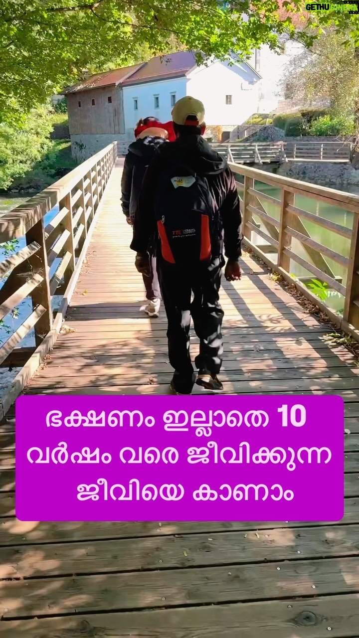 Jinsha Basheer - 1.2K Likes - ഭക്ഷണം ഇല്ലാതെ 10 വർഷം വരെ ജീവിക്കുന്ന ജീവിയെ കാണാം 😳
#europe #europedestinations #europetrip #europetour #europetravel #slovenia #postojna #postojnacave #postojnaolm #olm