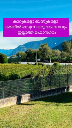 Jinsha Basheer Instagram - കാറുകളോ ബസുകളോ കരയിൽ ഓടുന്ന ഒരു വാഹനവും ഇല്ലാത്ത മഹാനഗരം കാണാം 😳

#europe #europedestinations #europetrip #europetour #europetravel #italy #venice #veniceitaly #italygram #italytravel #italytrip #venicecanals