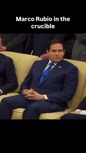 Joy Reid Instagram - I feel like this was not Marco Rubio’s favorite day, sitting in the Oval Office as #trump and #vance stomped all over his supposed principles by haranguing Ukrainian President #Zelensky. What an embarrassing day for the U.S.
.
Repost from @adr1600 
•
It got worse in the Oval Office! Posted @withregram • @lincolnproject.us *record scratch* Yep, that’s me. I bet you’re wondering how I ended up in this situation...