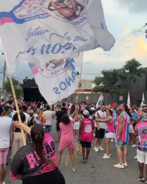 Julia Foti Instagram - É CAMPEAAAAAÃ!!!!!
O JOGO VIROUUUUUUUU!!! Meu Deus! Que emoção!!!!!!! 

VIVAAAAAAA @rosasdeouro !!!!!!!!!