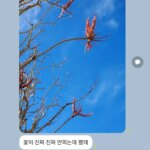 Jung Si-a