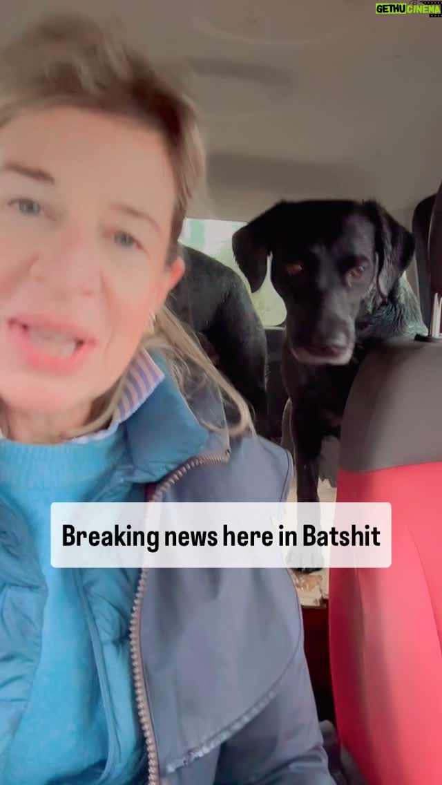 Katie Hopkins - 32.8K Likes - Batshit Bonkers Britain. Presented by Tilda The Dog
Todgers, Tesla’s and The Ginger Growler.
Plus camera drop ….