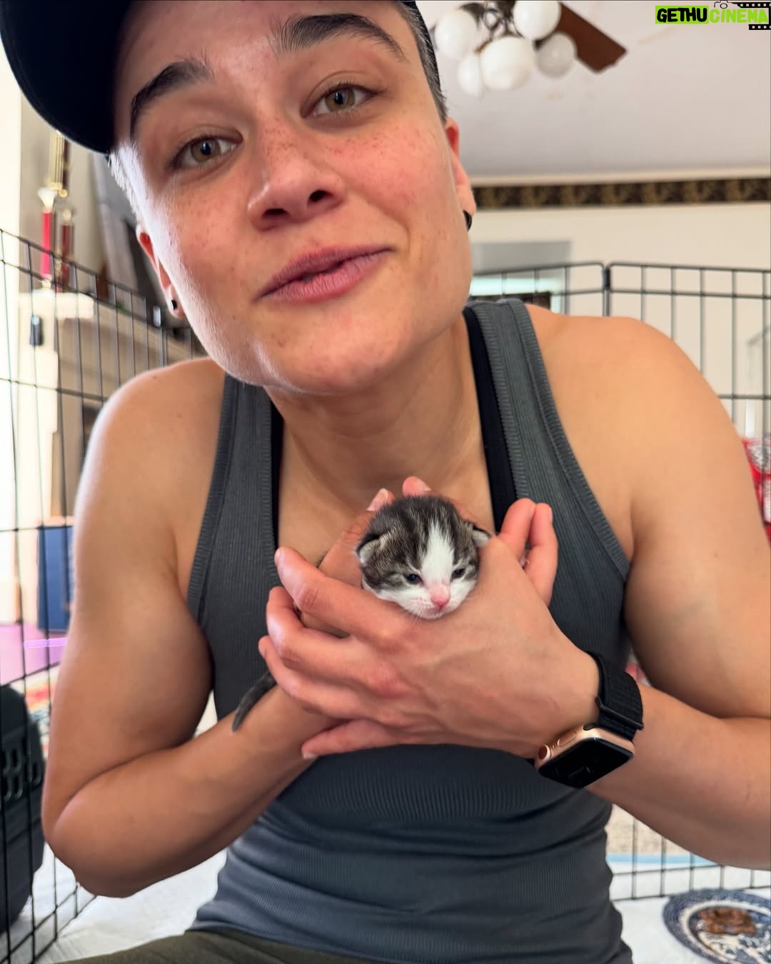 Katy O'Brian - 19.1K Likes - Me after telling @thekyliechi I wouldn’t fall in love with our foster kittens. We’ll be socializing these babies soon so they’re not scaredy cats when it comes time for adoption. Thrilled to be working with @muttscouts again for this precious litter. They’ll be available for adoption when they’re around 2 months old. Stay tuned 💕