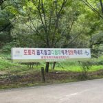 Kim Hyang-gi